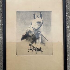 Collectable Greyhound World Champion Trotter Vintage Print in Frame